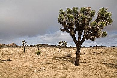 《消逝的光芒2》官宣：超300万名玩家将游戏加入愿望单