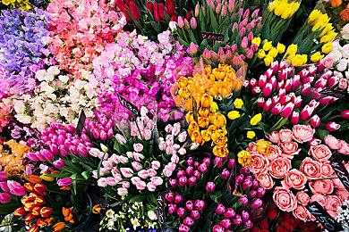 类银河恶魔城横板动作续作《尘埃异变2》首发预告