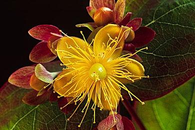 《生化危机》系列销量持续增长 《生化2RE》售出1450万套